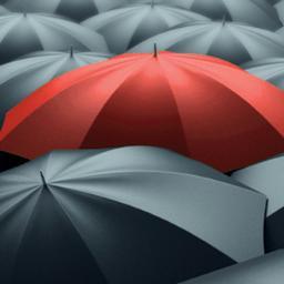 PIBInsurance's profile picture. The Business Insurance Specialists