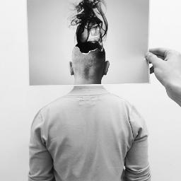 Schekastyi's profile picture. 