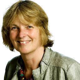 Strateeg gemeente Leiden
