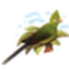 loerietrust's profile picture. We provide a safe home and good upbringing to children coming from difficult situations.