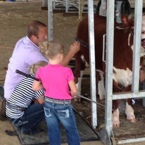 kwilcox822's profile picture. 