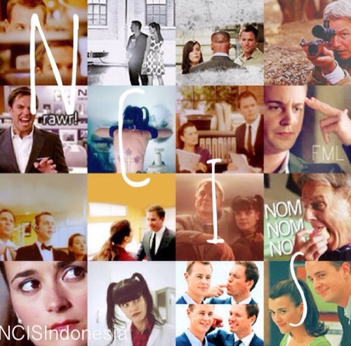 NCIS wont fade because memory dont fade∞♡