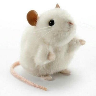 76+ Gambar Animasi Tikus Terlihat Keren 76+ Gambar Animasi Tikus Terlihat Keren