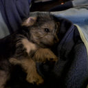 Joan McCartney - @jmcartney2931 - Twitter