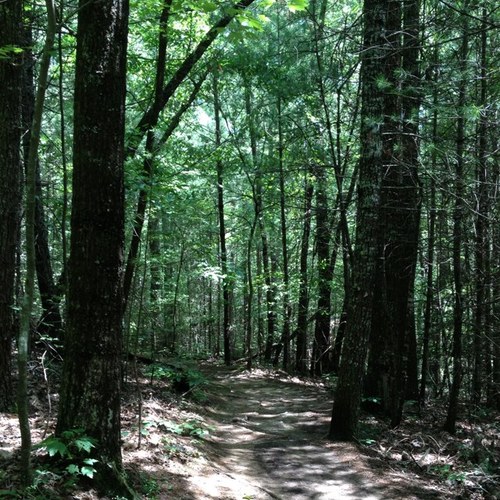 JenniferAlligoo's profile picture. 