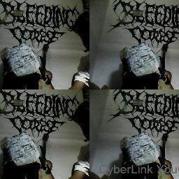 metal hari ini esok dan selamanya