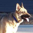 Vonda Rivers - @vondarivers - Twitter