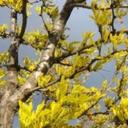 Justin Forman - @justin_forman - Twitter