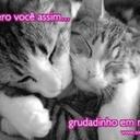 Greice (@05Greice19) Twitter