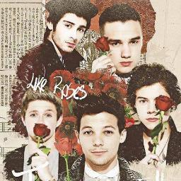 Eu sou Directioner e... Mais nada!