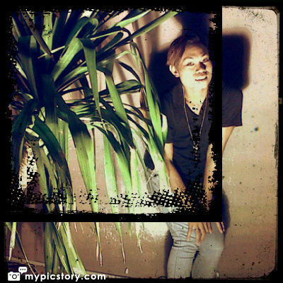 Dream world