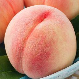 福島県内や自分が気に入ったお店の食べ歩きを呟いて行こうかなと思っています。特にハンバーグスパゲティとかき氷が大好きです。たまに日常も呟くと思います。もっちり庵名主。温泉・鉄道関係・地元アイドルも興味あります。呼ぶ時は「久保さん」で大丈夫です。instagram→@ku_isi_bo