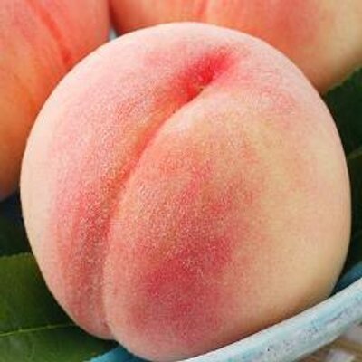 ku_isi_bo's profile image
