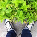 Henry Anderson Brown - @handersonbrown - Twitter