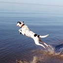 Sandy Law - @sandy_lake_girl - Twitter