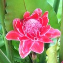 Sarah Etheridge - @SarEtheridge - Twitter