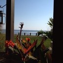 jane maynard - @ljmaynard - Twitter