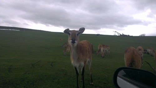 StephanieField1's profile picture. 