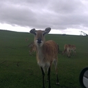 Stephanie Buckman - @StephanieField1 - Twitter