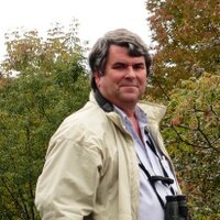 Douglas Stotz (@warblerchips) 's Twitter Profile Photo Douglas Stotz (@warblerchips) 's Twitter Profile Photo