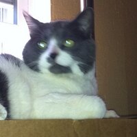 Nathan Kilander (@nkilander) 's Twitter Profile