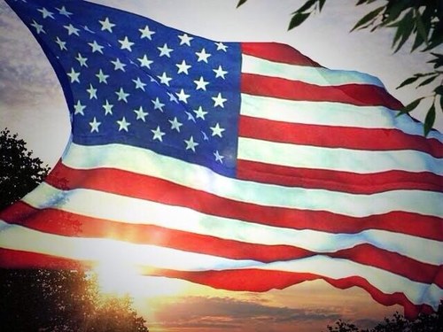 tmt1580's profile picture. Freedom-loving Libertarian Muskie Hunter