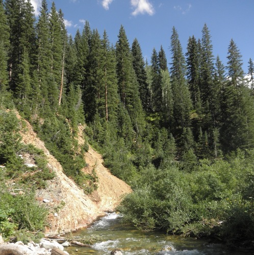 JoshuaKappel's profile picture. Partner, Vicente Sederberg
Chair, Natural Medicine Colorado