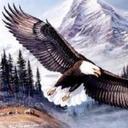 Michael Kassab - @MichaelKassab1 - Twitter