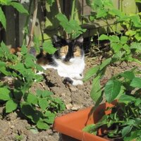 Liz Pulford (@lizdotpulford) 's Twitter Profile Photo