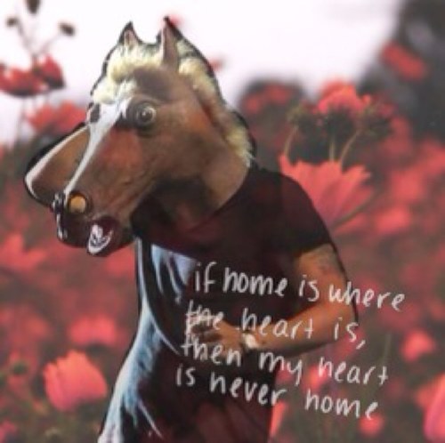 ursonotraven's profile picture. narry or niam that is the question