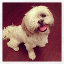 CautiouslyOpRev's profile picture. Nurse Practitioner. Dog Lover. Foodie. Use the link in bio to get $22 off your first order of Enro #masks