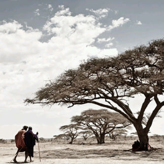 LutherCI's profile picture. 