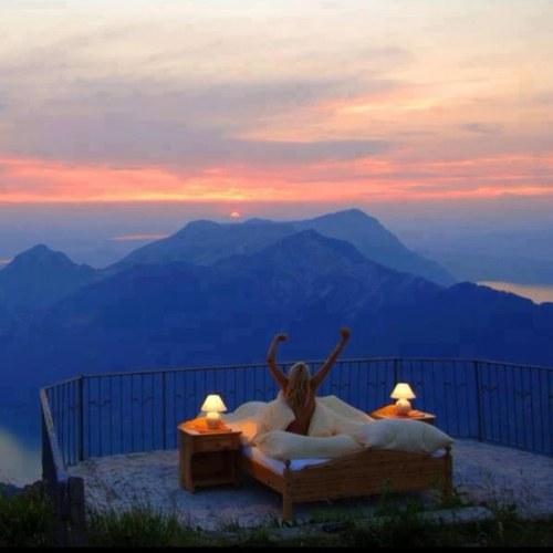 DesiBaur's profile picture. 