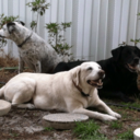 Rose ONeil - @RoseONeil10 - Twitter