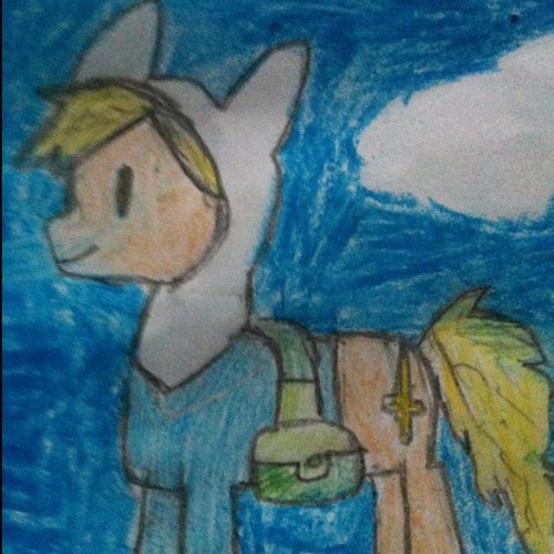 Finn the pony. Need a hero? Call me. I can help any problem. Nice to meet you. ((MST. PsN is JohntheGkiller))