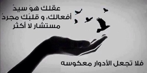 2010Hashooome's profile picture. 