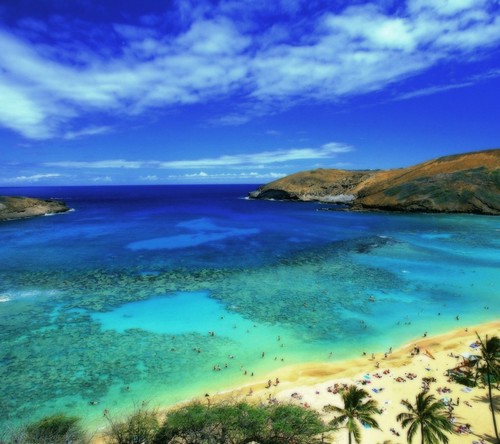 Ropley2ndXI's profile picture. Calypso style cricket is on offer at a village near you.