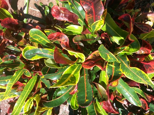 SF1417's profile picture. 