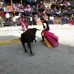 mhfaguila's profile picture. Papá de Fabo Jr y José Tomás, 💯% Alauseño 🚂, Emelexista de 💙, Runner 🏃‍♂️,
❤🏃‍♂️🐂🐃, MH x siempre