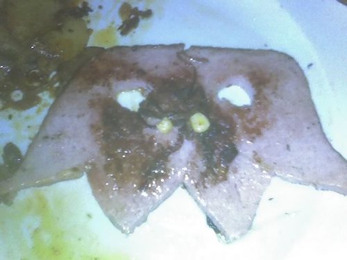 PeterMu67681411's profile picture. 