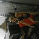 Fernando Perea - @ferea629 - Twitter