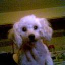 liliana ester bruno - @lylybruno - Twitter