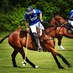 Charlie Walton (@cw_polo) Twitter profile photo Charlie Walton (@cw_polo) Twitter profile photo
