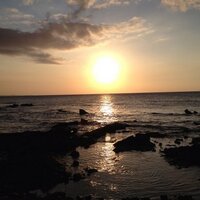 Josh Tooker (@joshtooker) 's Twitter Profile