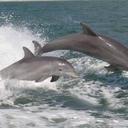 SONIA ROA - @SONIAROA4 - Twitter