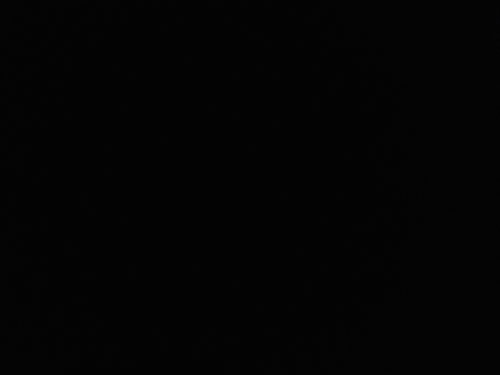 uhpeter77's profile picture. 