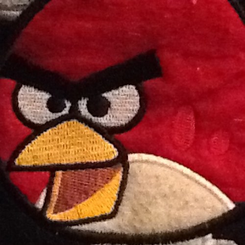 beardysteve's profile picture. 