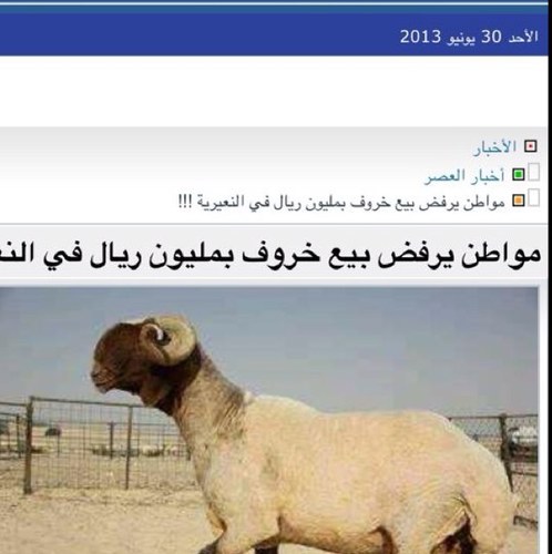 ليس الأبداع بكثرة الأرسال.  أنما بجمال ما ترسل