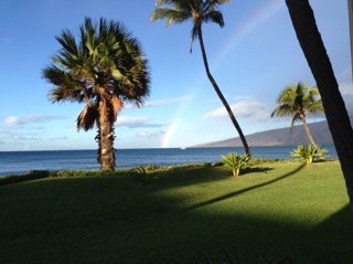 Old_Socks's profile picture. 