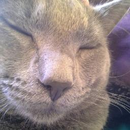 MaryJBlige1994's profile picture. 